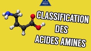 01  Classification des acides aminés [upl. by Mallorie]