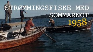 Strømmingsfiske med sommarnot Houtskär 1958 [upl. by Eremaj416]