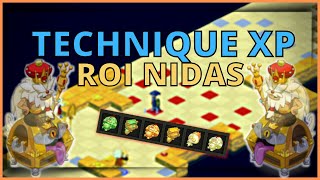 TUTO STRAT XP  ROI NIDAS SCORE 267 TEAM CRA  Entraax DOFUS [upl. by Nirad664]