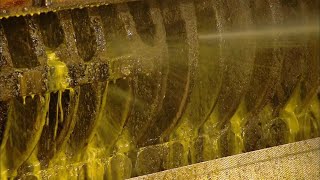 How Its Actually Made  Canola Oil [upl. by Tobias980]