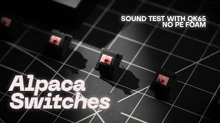 Alpaca Switches Stock vs Lubed Sound QK65 no PE Foam [upl. by Naga]