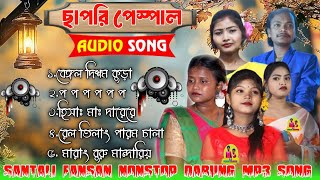 santali fansan hit song 2024santali fansan hit mp3 songsantali fansan mp3songsantali program song [upl. by Beberg]