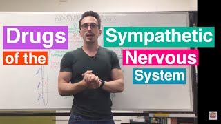 Adrenergic Drugs  Drugs of the Sympathetic Nervous System [upl. by Ydnyc]