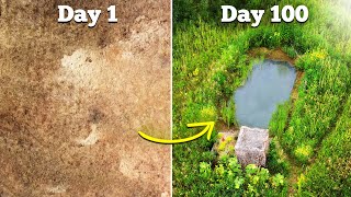 I Built a Wildlife Pond  heres what happened [upl. by Winnie]