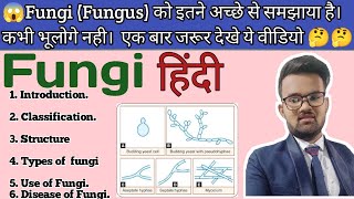 Fungi Fungus Introduction And Classification In हिंदी  Easy Way To Explain Fungus  Mycology [upl. by Naro]