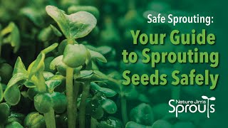 Sprouting Safely Your Complete Safety Guide To Sprouting Seeds  Nature Jims [upl. by Nylsoj]