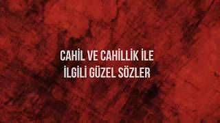 Cahil ve Cahillik İle İlgili Anlamlı Güzel Sözler [upl. by Trudi806]