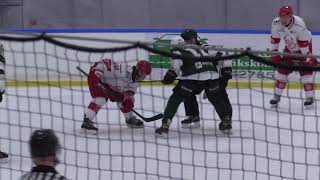 Hammarby IF Hockey  Vallentuna HF J20 Region Seriematch 22124 [upl. by Enneyehc]