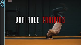 This Training Concept Builds NEXT LEVEL Performance [upl. by Barra332]