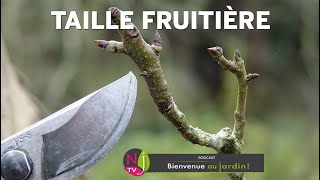 TAILLE DES POMMIERS ET POIRIERS  COMPRENDRE FACILEMENT MÉTHODE ET TECHNIQUE AVEC PATRICK ET ROLAND [upl. by Secunda406]