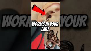 Did you know theres a worm that feeds on bones shorts youtubeshorts youtubefeeds [upl. by Wilmer]