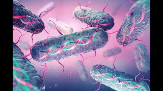 Studies on Bacterial Populations Concomitant with Sclerotium rolfsii sclerotia in Flooded Soil [upl. by Perri]