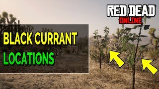 Red Dead Online Black Currant Locations RDR2 [upl. by Maudie865]