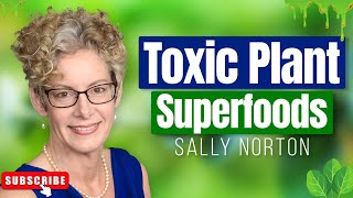 Lectins Have NOTHING On Oxalates  Oxalate Poisoning and Dumping With Sally Norton [upl. by Lunneta418]