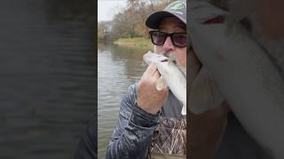 Walleye Fishing with Andrew Zimmern fishing [upl. by Nerland]