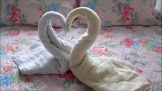 Cisne de Toalha  DIY [upl. by Mharba]