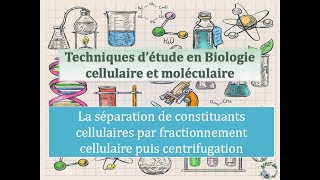 Fiches techniques  Séparation des constituants cellulaires par fractionnement puis centrifugation [upl. by Suruat403]