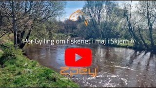 Tip fra Gylling til maj fiskeriet [upl. by Adalheid896]