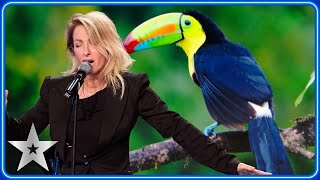 Geneviève Côté wows Judges with UNREAL animal impressions  Auditions  BGT 2024 [upl. by Nosac183]