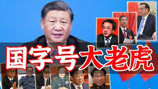 习近平的政敌们 （已陨落） [upl. by Hniht]