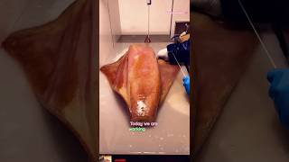 🦑 Giant Squid Skin Peeling Process  ASMR Calamari Prep squid cuttlefish calamar short trending [upl. by Malinowski]