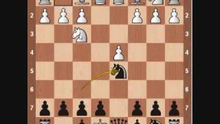 Chess Openings Scandinavian Defense [upl. by Atalanta371]