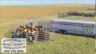 WW Express Portable Cattle Corral [upl. by Ariek]