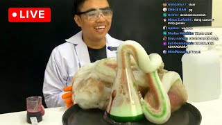 🔴 Live Memasak Eksperimen Sains Elephant Toothpaste [upl. by Ayahsal]