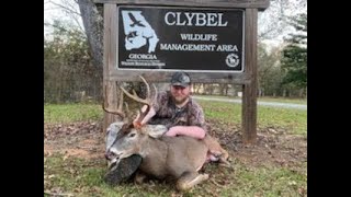 public land big buck clybel wma [upl. by Ilohcin]