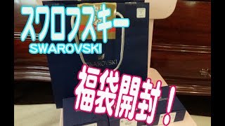 スワロフスキーSWAROVSKI2019年福袋Lucky Bag開封動画！当たり福袋Lucky bag！ [upl. by Emilia]