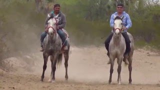 Carreras de Caballos  quotEl Cadetequot Grupo Laberinto [upl. by Oinota240]