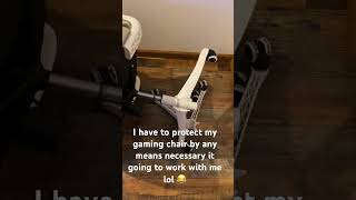 I have to protect my gaming chair by any means necessary lol 😂 chairlivesmatter funny funnyvideo [upl. by Ingeborg]