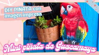 Mini PIÑATA de Guacamaya roja DIY con imagen impresa [upl. by Stacy]