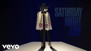 Sia  Bird Set Free Live From SNL [upl. by Ynnaej]