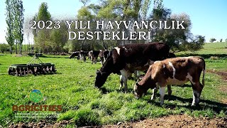 2023 Hayvancılık Destekleri [upl. by Miah66]