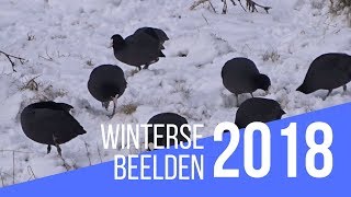 Winter 2018  een compilatie [upl. by Borlase597]