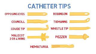 Introduction to Urinary Catheters [upl. by Anoerb]