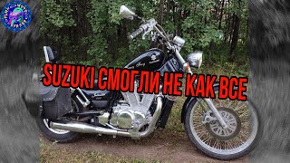 Suzuki Intruder 800 МОТОЦИКЛ ДОСТОЙНЫЙ ОБСЛУЖИВАНИЯ [upl. by Onilegna]