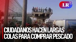 Terminal pesquero del Callao ciudadanos hacen largas colas para comprar pescado [upl. by Anide]