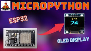 How To Use MicroPython OLED Display with the ESP32 [upl. by Peppie]