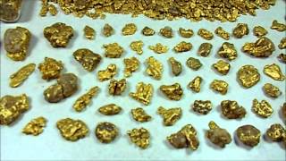 Alaska Gold Nugget Collection [upl. by Rudwik556]