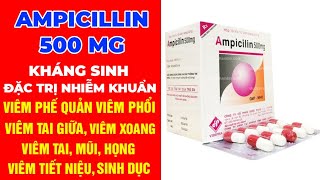 Ampicillin 500 Thuốc Ampicillin 500 Kháng Sinh Điều Trị Hiệu Quả Nhanh Các Triệu Chứng Nhiễm Khuẩn [upl. by Brunk477]