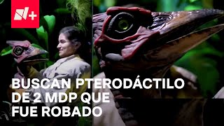 En Busca del Pterodáctilo Bebé el Robo de los 2 MDP en Perisur [upl. by Aitenev]