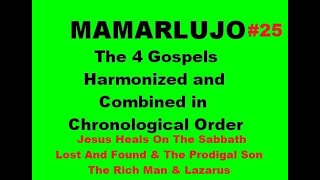 Chronological Gospels 25 KJV Daily Devotional [upl. by Dehnel997]