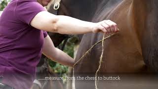 How to measure your horse for a rug [upl. by Mccarty]