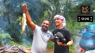 American Food Vlogger Mark Wiens Trying Kerala Tribal Food in Ponmudi [upl. by Dnalsor550]