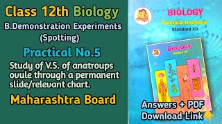 HSC Biology Practical No5 Spotting Study of VS of anatroups ovule  Maharashtra Board [upl. by Einehpets882]