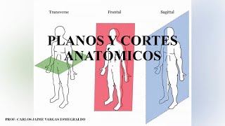 PLANOS Y CORTES ANATOMICOS [upl. by Ashlin290]