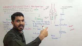 L9 Neurotransmitters their role in neurotransmission and nerve gas [upl. by Drugge779]