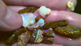 920cts pipe opalized wood fossil boulder opal rough parcel [upl. by Tiana]